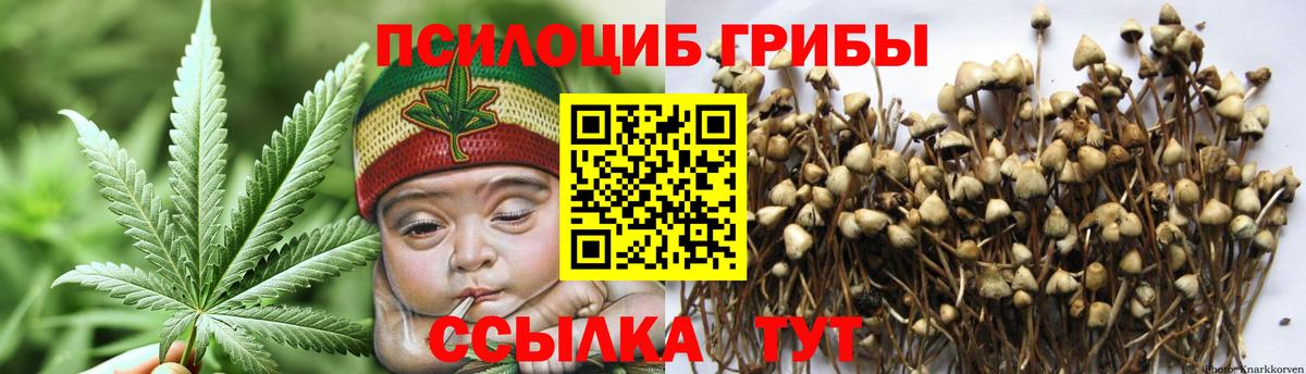 Галлюциногенные грибы Cubensis Нижнеудинск