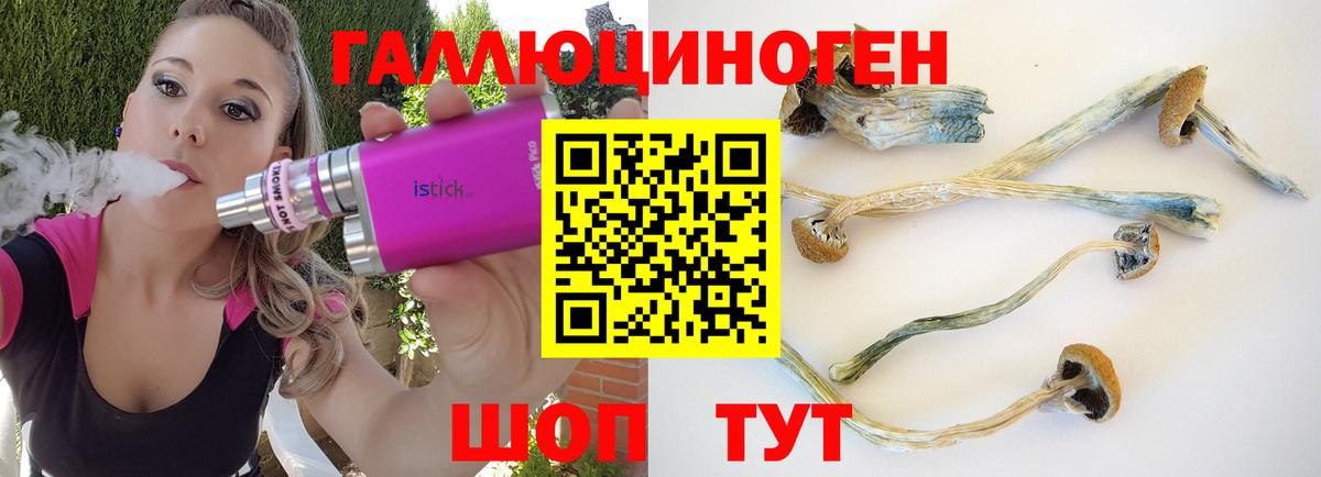 Галлюциногенные грибы GOLDEN TEACHER  купить наркотик  Нижнеудинск  Вход с VPN  Псилоцибиновые грибы Psilocybine cubensis 